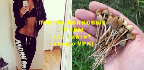 стафф Гусь-Хрустальный