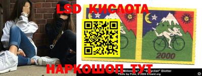 гидра Новозыбков