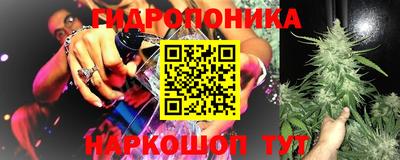 гидра Новозыбков