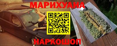 гидра Новозыбков
