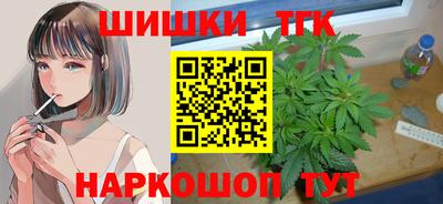 гидра Новозыбков