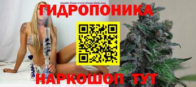 гидра Новозыбков