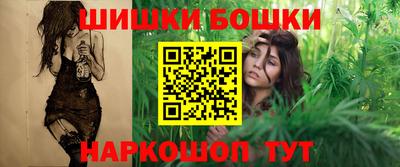 гидра Новозыбков