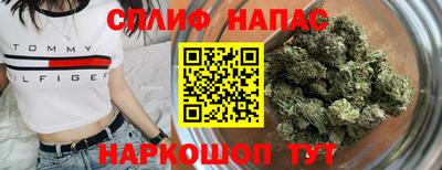 гидра Новозыбков