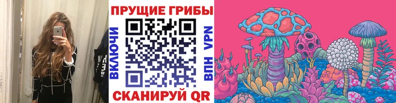Псилоцибиновые грибы Psilocybe  Обь 