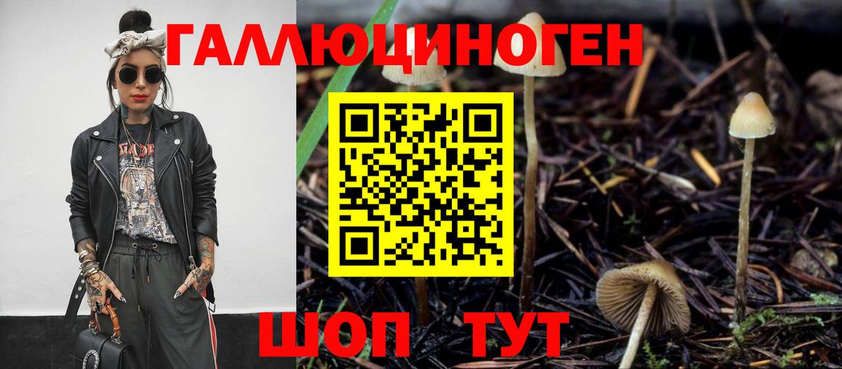 Обь  Псилоцибиновые грибы прущие грибы  Вход с VPN  Псилоцибиновые грибы прущие грибы 